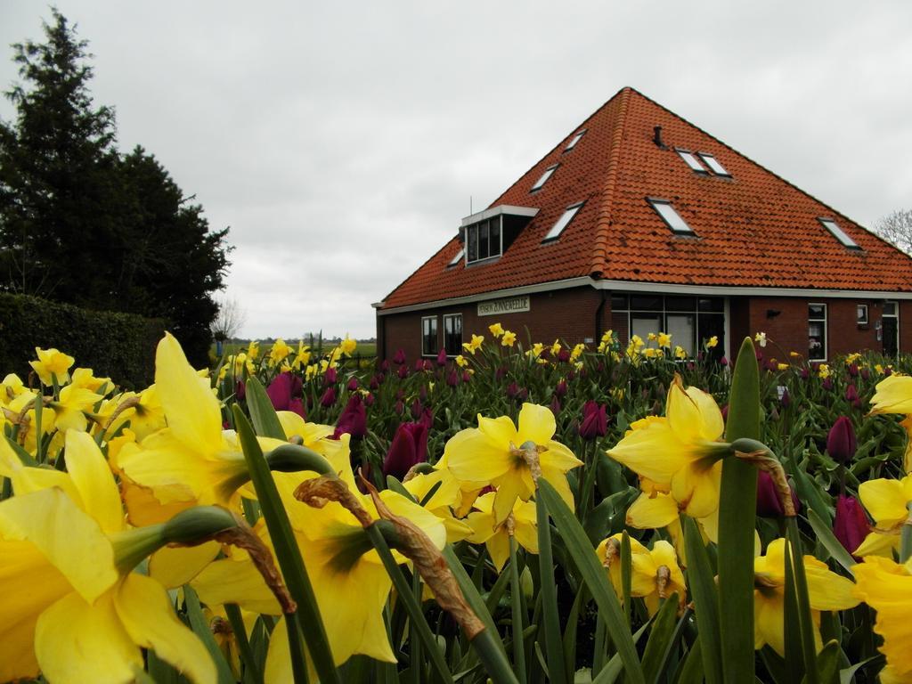 Pension Zonneweelde Oosthuizen Exterior photo
